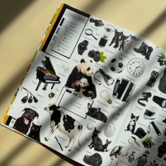 Книга 500 перших слів. Вивчаємо кольори, розвиваємо увагу - Марія Жученко Книга 500 перших слів. Вивчаємо кольори, розвиваємо увагу - Марія Жученко