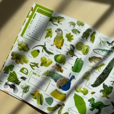 Книга 500 перших слів. Вивчаємо кольори, розвиваємо увагу - Марія Жученко Книга 500 перших слів. Вивчаємо кольори, розвиваємо увагу - Марія Жученко