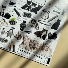Книга 500 перших слів. Вивчаємо кольори, розвиваємо увагу - Марія Жученко Книга 500 перших слів. Вивчаємо кольори, розвиваємо увагу - Марія Жученко