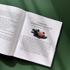 Книга Гномичкові різдвяні оповідки - Бернадетта Бородзюк Книга Гномичкові різдвяні оповідки - Бернадетта Бородзюк