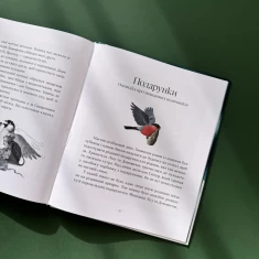 Книга Гномичкові різдвяні оповідки - Бернадетта Бородзюк Книга Гномичкові різдвяні оповідки - Бернадетта Бородзюк