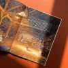 Книга Айнштайн. Фантастична подорож Мишеняти у просторі й часі - Торбен Кульман