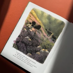 Книга Маргарет і єдиноріжко - Брайоні Мей Сміт