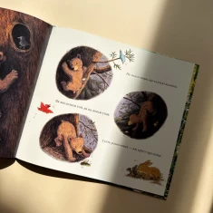 Книга Перша весна ведмежати - Еллі Вуллард