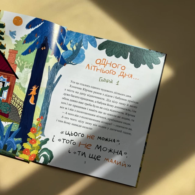 Книга Дивовижні пригоди хлопчика Юрчика і його діда. Одного літнього дня - Наталя Забіла, Юлія Череда