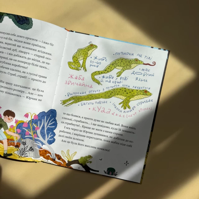 Книга Дивовижні пригоди хлопчика Юрчика і його діда. Одного літнього дня - Наталя Забіла, Юлія Череда