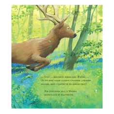 Книга Кожен з нас — диво - Джейн Чепмен Книга Кожен з нас — диво - Джейн Чепмен