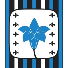 Комплект з чотирьох контрастних книжок для немовляти