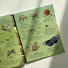 Подарунковий комплект Велика книга комах та Велика книга морських мешканців
