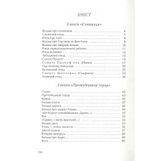 Книга Вийшов з радіо чорний лев - Іван Драч