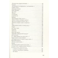 Книга Задивляюсь у твої зіниці - Василь Симоненко