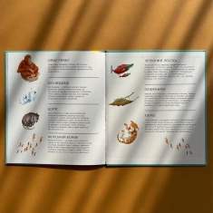 Книга Дивовижні дитинчата тварин - Кріс Пакхем