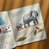 Книга Дивовижні дитинчата тварин - Кріс Пакхем