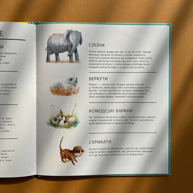 Книга Дивовижні дитинчата тварин - Кріс Пакхем