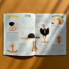 Книга Міфи й упередження про тварин - Павла Ханачкова