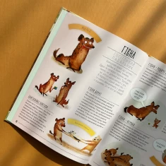 Книга Міфи й упередження про тварин - Павла Ханачкова