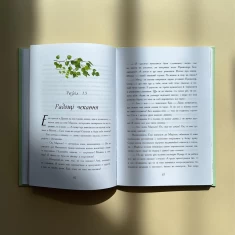 Книга Енн із Зелених Дахів - Люсі Монтгомері