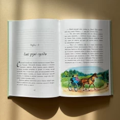 Книга Енн із Авонлеї - Люсі Монтгомері