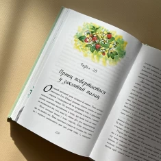 Книга Енн із Авонлеї - Люсі Монтгомері