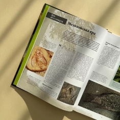 Книга Динозаври. Велика енциклопедія - Пол Баррет Книга Динозаври. Велика енциклопедія - Пол Баррет