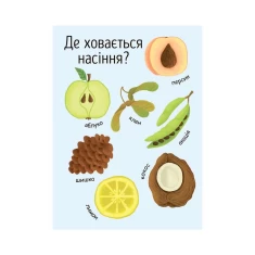 Книга Як виростає дерево? - Булгакова Г.