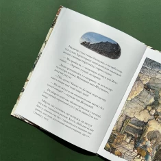 Книга Високі пагорби. Ожиновий живопліт - Джилл Барклем