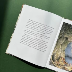 Книга Високі пагорби. Ожиновий живопліт - Джилл Барклем