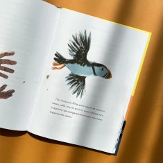 Книга Доглядач маяка - Майкл Морпурґо