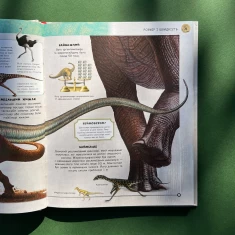 Книга Динозаври. Путівник Книга Динозаври. Путівник