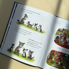 Книга Табі Мак-Няв - Джулія Дональдсон Книга Табі Мак-Няв - Джулія Дональдсон
