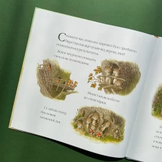 Книга Після бурі. Історії парку Персі - Нік Баттерворт