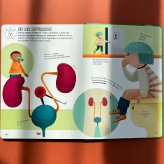 Книга Відчиняємо віконця Тіло людини - Енріка Сорольдоні, Емануела Пальярі, Дьєґо Маттареллі