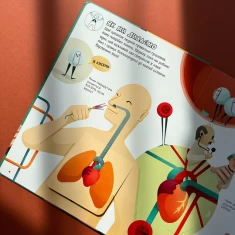 Книга Відчиняємо віконця Тіло людини - Енріка Сорольдоні, Емануела Пальярі, Дьєґо Маттареллі