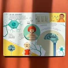 Книга Відчиняємо віконця Тіло людини - Енріка Сорольдоні, Емануела Пальярі, Дьєґо Маттареллі