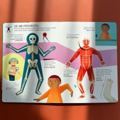 Книга Відчиняємо віконця Тіло людини - Енріка Сорольдоні, Емануела Пальярі, Дьєґо Маттареллі