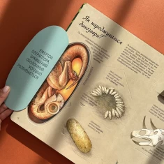 Книга Світ динозаврів - Кристина Банфі