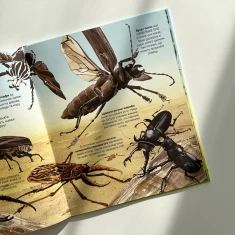 Книга Велика книга комах і не тільки - Емілі Боун Книга Велика книга комах і не тільки - Емілі Боун