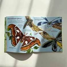 Книга Велика книга комах і не тільки - Емілі Боун Книга Велика книга комах і не тільки - Емілі Боун