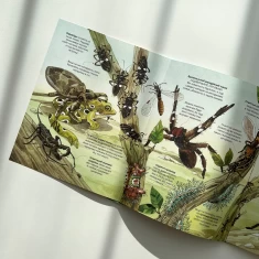 Книга Велика книга комах і не тільки - Емілі Боун Книга Велика книга комах і не тільки - Емілі Боун