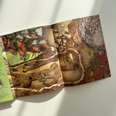 Книга Велика книга комах і не тільки - Емілі Боун Книга Велика книга комах і не тільки - Емілі Боун