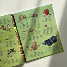 Книга Велика книга комах і не тільки - Емілі Боун Книга Велика книга комах і не тільки - Емілі Боун