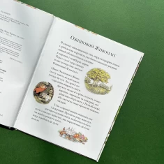 Книга Літня історія. Ожиновий живопліт - Джилл Барклем