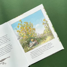 Книга Літня історія. Ожиновий живопліт - Джилл Барклем