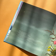 Книга Скоро заснеш і ти - Гадді Ньє, Ліса Айсато