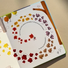 Книга Полічи до 100 - Фелісіті Брукс