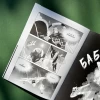 Книга-комікс Привид Києва (+ постер) - Мацуда Джюко