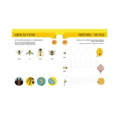 Книга Монтессорі: світ досягнень. Моя перша книга з фантастичними наліпками. У саду - Кьяра Піродді