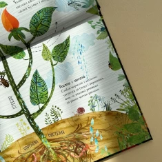 Книга Велика книга квітів - Ювал Зоммер Книга Велика книга квітів - Ювал Зоммер
