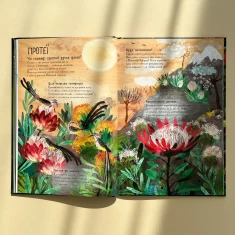 Книга Велика книга квітів - Ювал Зоммер Книга Велика книга квітів - Ювал Зоммер