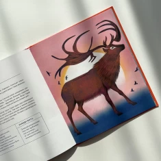 Книга Українські диковиська - Валентина Вздрульська